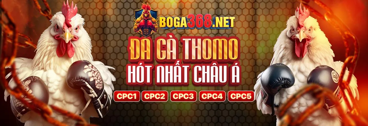 Đá Gà Trực Tuyến Sôi Động tại nato888